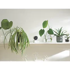 Google Nest GA01998-GB 12V Power Supply White Wired 1080p Indoor Round Smart Camera 7 Google Nest GA01998-GB 12V Power Supply White Wired 1080p Indoor Round Smart Camera -Data Networking Shop 604RJ A2