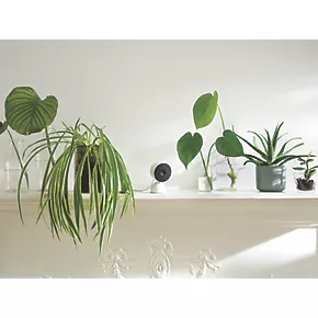 Google Nest GA01998-GB 12V Power Supply White Wired 1080p Indoor Round Smart Camera 5 Google Nest GA01998-GB 12V Power Supply White Wired 1080p Indoor Round Smart Camera - Image 3